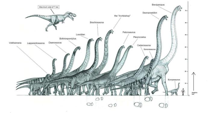 heaviest dinosaur in the world