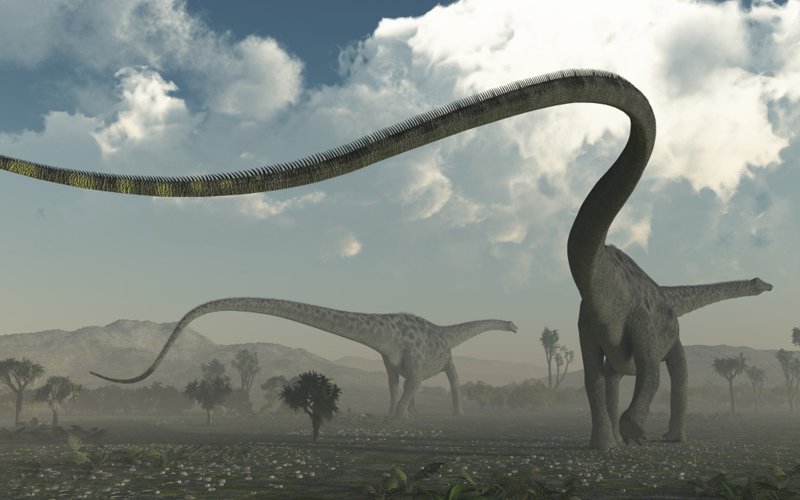 The Longest Dinosaurs Sauropods Top 10 DinoAnimals