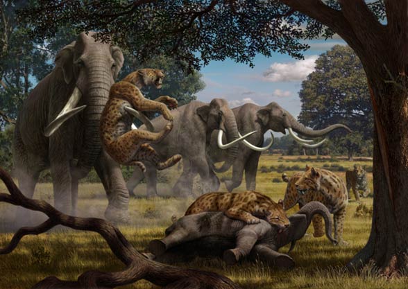 Megafauna Big Animals DinoAnimals Megafauna Big Animals DinoAnimals