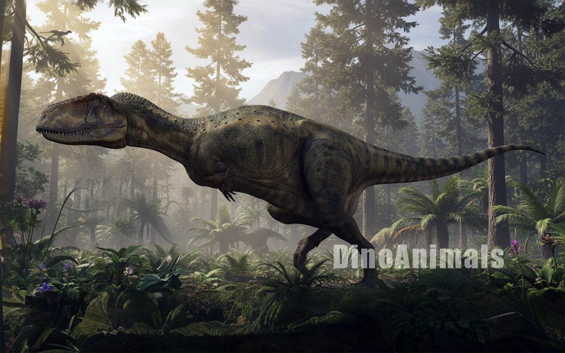 Abelisaurus comahuensis