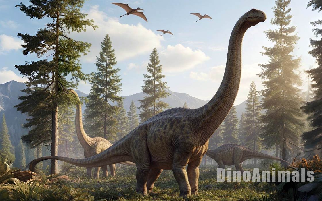 Alamosaurus sanjuanensis