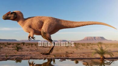 Alectrosaurus olseni by DinoAnimals
