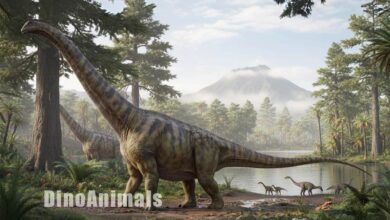 Argyrosaurus superbus by DinoAnimals