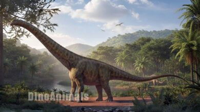 Austroposeidon magnificus by DinoAnimals