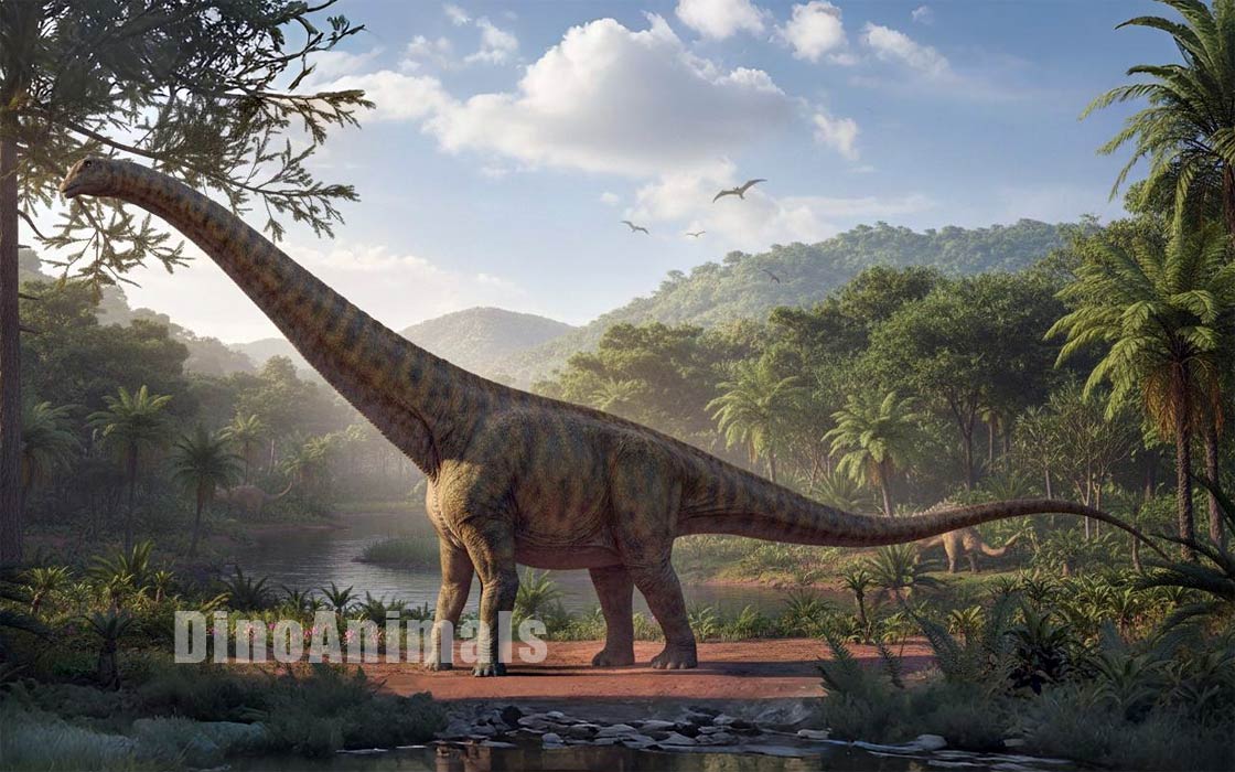 Austroposeidon magnificus by DinoAnimals