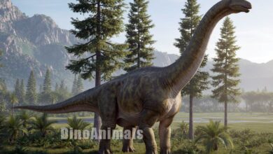 Camarasaurus lentus by DinoAnimals