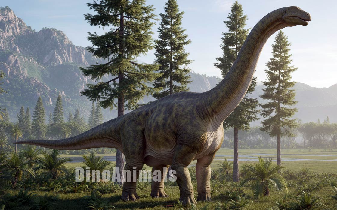 Camarasaurus lentus by DinoAnimals