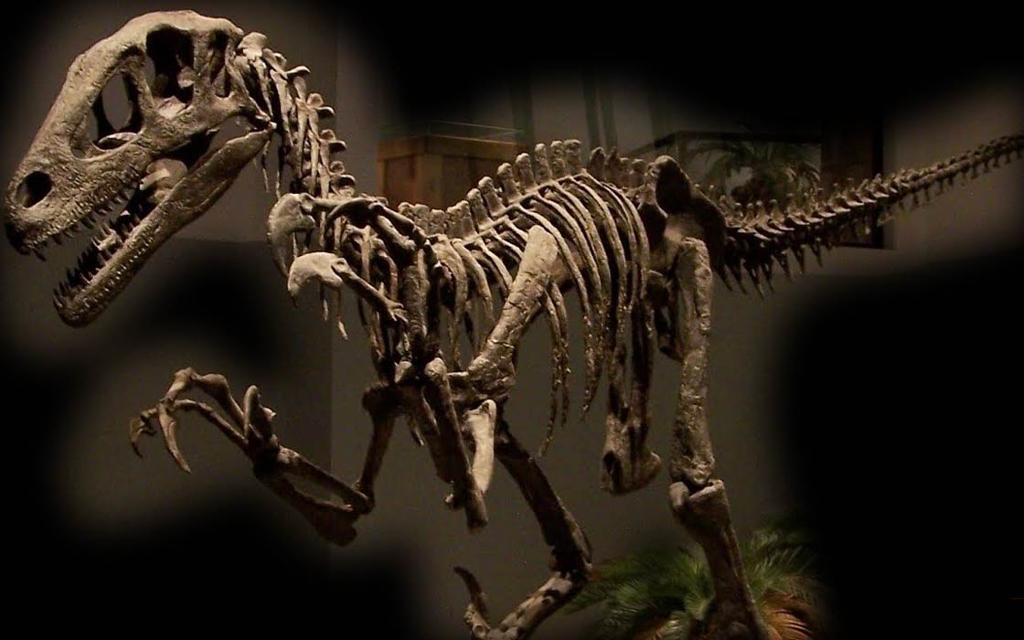 Deinonychus Pictures & Facts - The Dinosaur Database