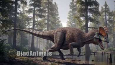 Dilophosaurus wetherilli by DinoAnimals