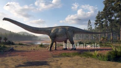 Dinheirosaurus lourinhanensis by DinoAnimals