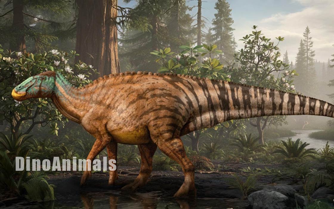 Edmontosaurus regalis