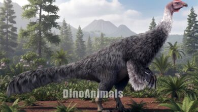 Erlikosaurus andrewsi by DinoAnimals