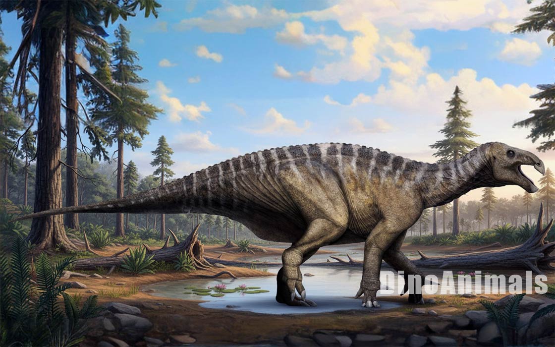 Iguanodon bernissartensis by DinoAnimals