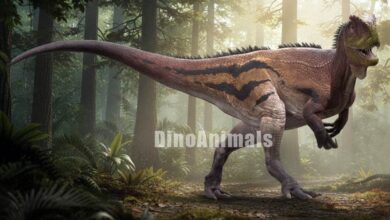 Metriacanthosaurus parkeri by DinoAnimals