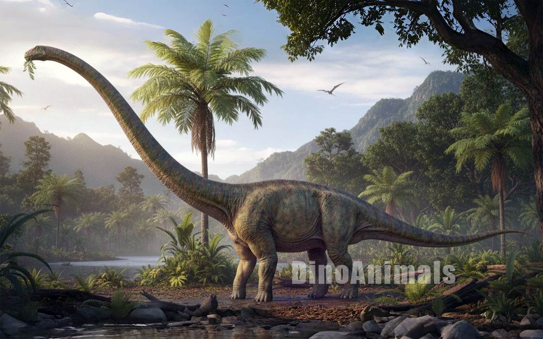 Omeisaurus jiaoi by DinoAnimals