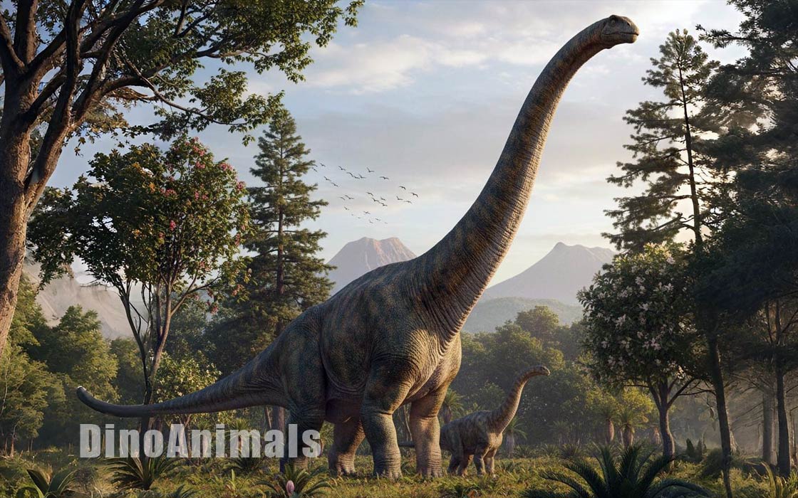 Patagotitan mayorum by DinoAnimals