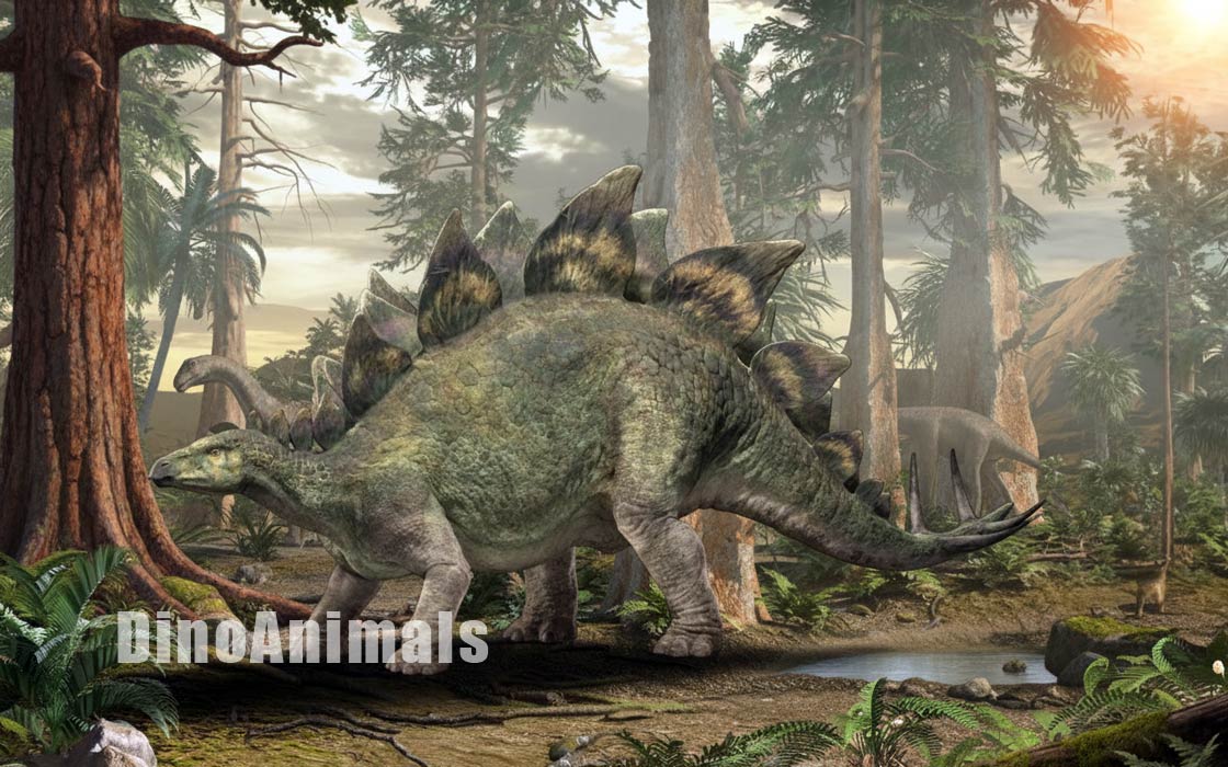 Stegosaurus ungulatus