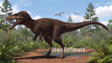 Timurlengia euotica by DinoAnimals