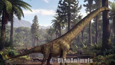 Traukutitan eocaudata by DinoAnimals