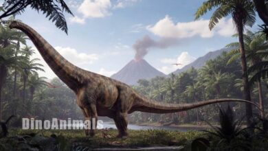 Uberabatitan ribeiroi by DinoAnimals