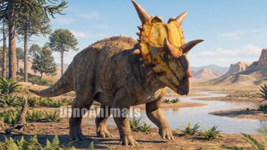 Xenoceratops foremostensis by DinoAnimals
