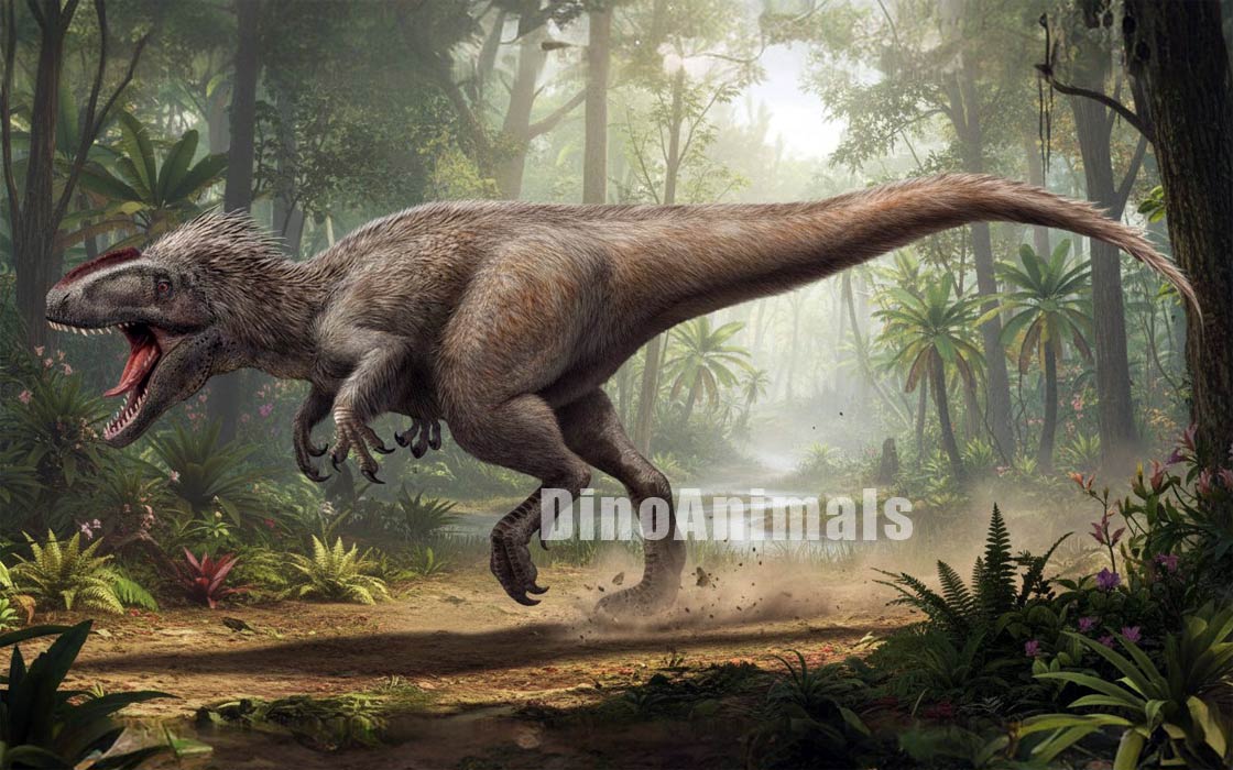 Yutyrannus huali by DinoAnimals