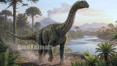 Zapalasaurus bonapartei by DinoAnimals