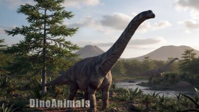 Abditosaurus kuehnei