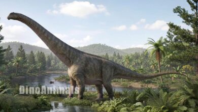 Garumbatitan morellensis by DinoAnimals