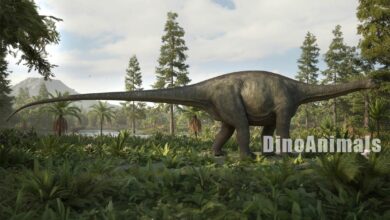 Sidersaura marae by DinoAnimals