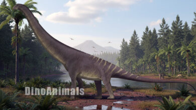 Utetitan zellaguymondeweyae