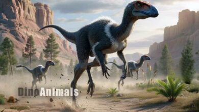 Anteavis crurilongus by DinoAnimals