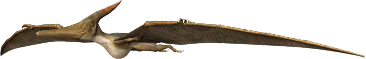 Aetodactylus