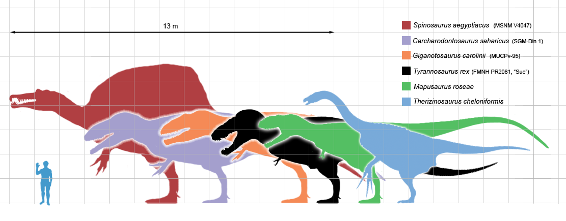 The Heaviest theropods - predatory dinosaurs.