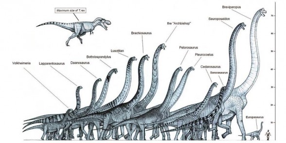 non herbivore dinosaur