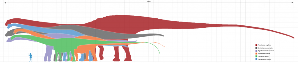 largest dinosaur ever recorded