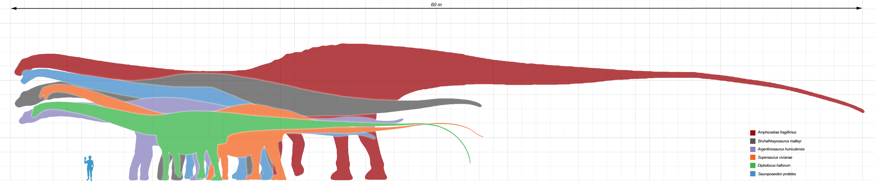 supersaurus size comparison