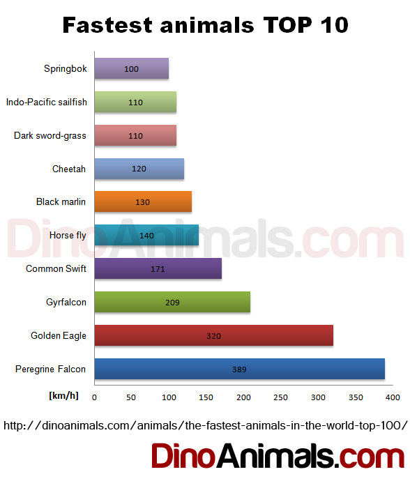 Fastest Animals TOP 10 DinoAnimals