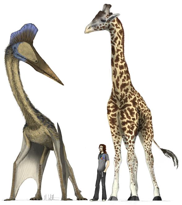 Quetzalcoatlus