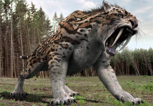 The Saber-toothed tiger (Smilodon)