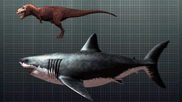 Megalodon – a prehistoric shark | DinoAnimals.com