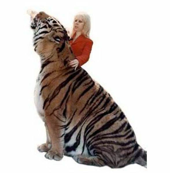 Worldatlas.com on X: Myth: Siberian tigers are the largest tiger