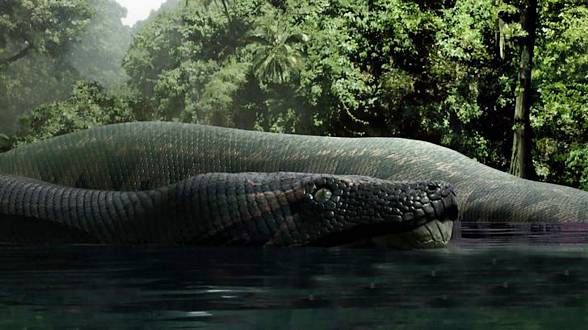 largest anaconda ever titanoboa