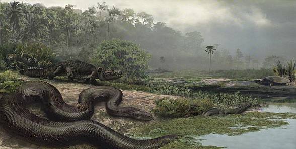 Titanoboa (Titanoboa cerrejonensis)