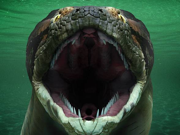 Titanoboa Cerrejonensis Smithsonian