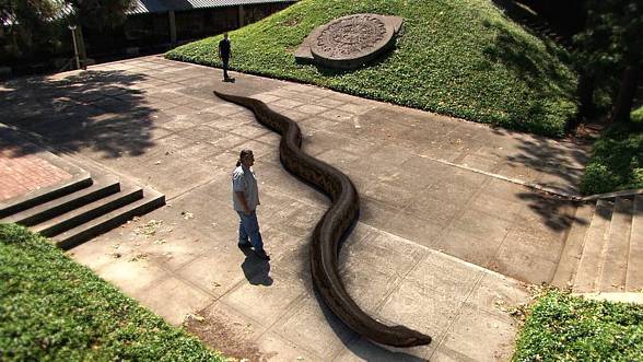 Titanoboa (Titanoboa cerrejonensis)