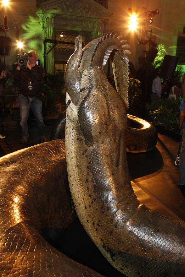 Titanoboa cerrejonensis