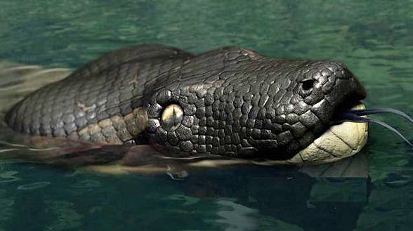 Titanoboa (Titanoboa cerrejonensis)