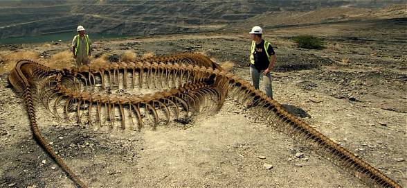 Titanoboa (Titanoboa cerrejonensis)