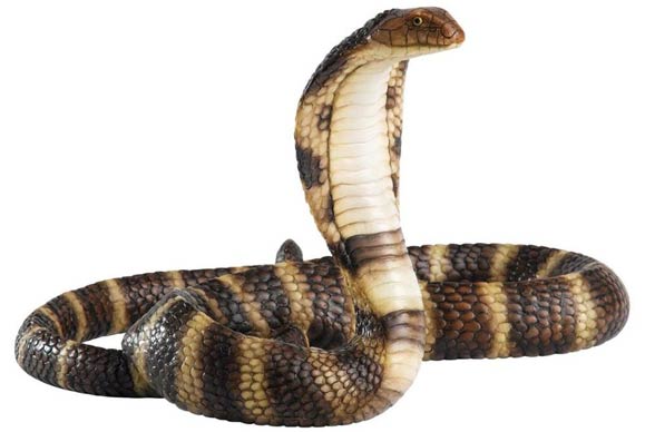 Cobras – dreadful snakes | DinoAnimals.com